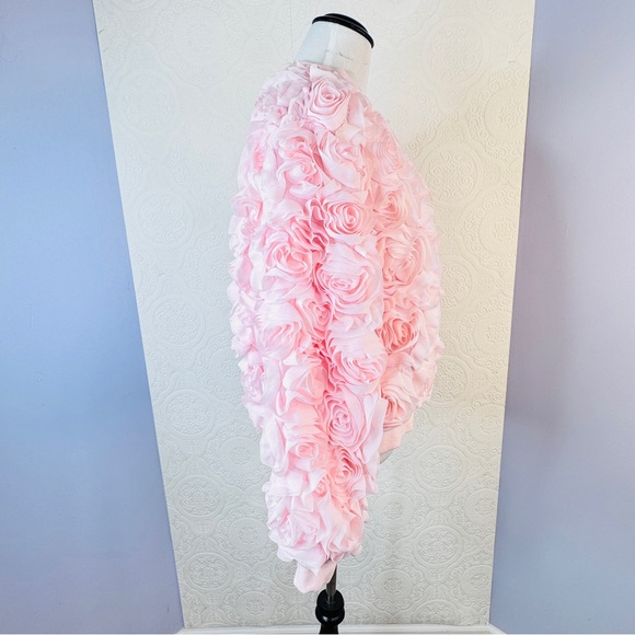 Akira Jacket size Medium Pink Roses 3D Floral Women's Jacket Zip Up Ruffled - Picture 2 of 8